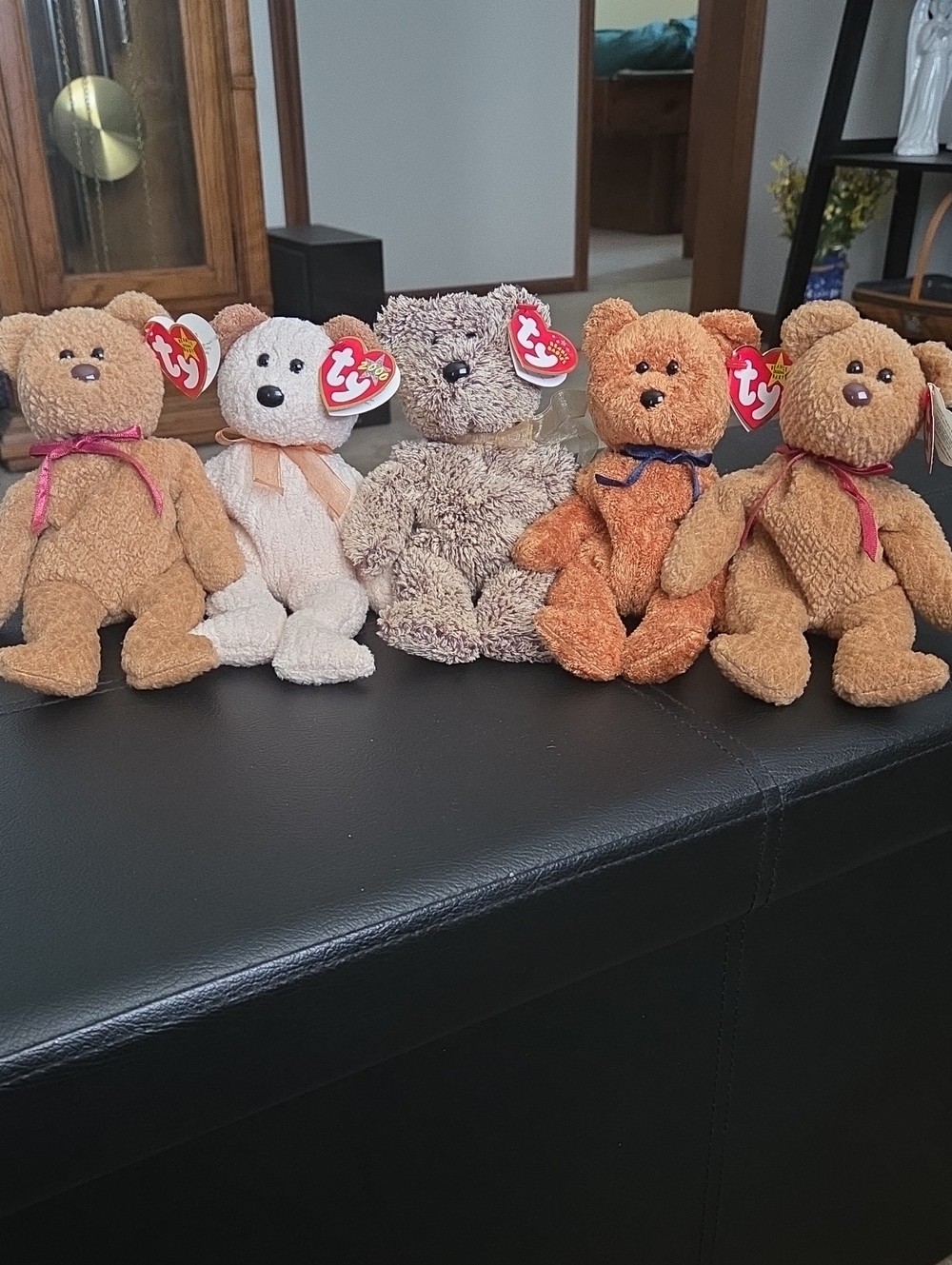 Ty Plush Bear Collection - Curly, Huggy, Harry, Fuzz, and another Curly!
